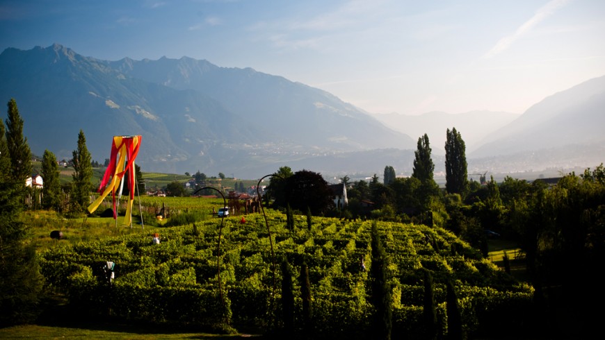 Weingarten Labyrinth von Merano