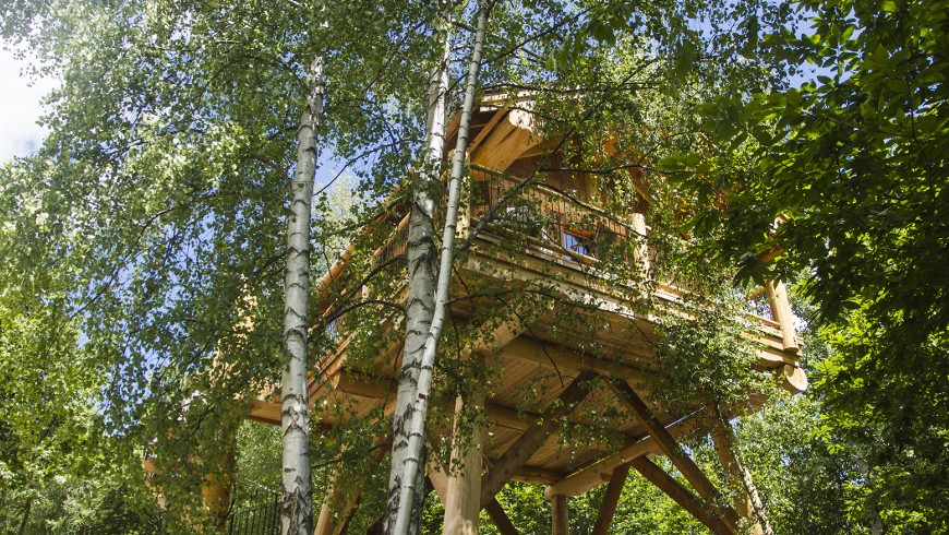 Baumhaus in Pamparato, Piemont
