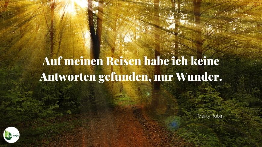 Zitate Gedanken Und Aphorismen Zum Reisen Ecobnb