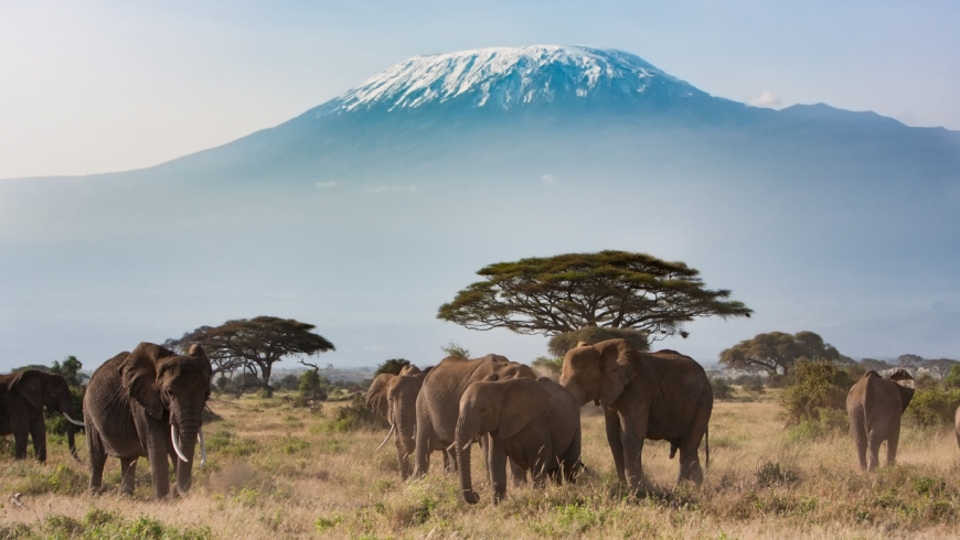 „Grüne“ Safari: Tipps für die nachhaltige Reise in Afrikas Wildnis