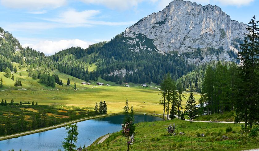 Kalkalpen: Ein Nationalpark Und Seine Geschichte - Ecobnb