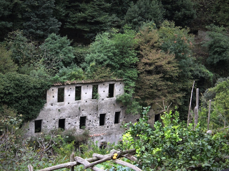 Die Ruinen einer alten Papierfabrik , von Bäumen und Natur erobert.